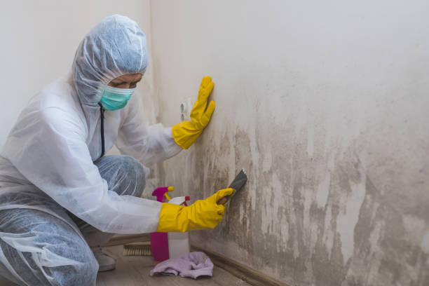 Water Damage Restoration in Pahala, HI