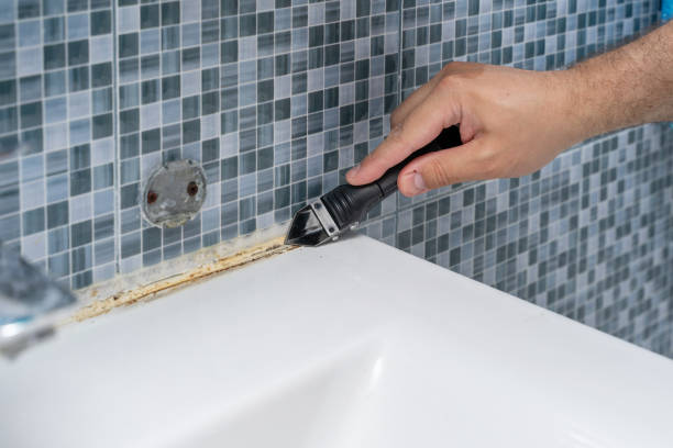 Reliable Pahala, HI Mold Removal Solutions